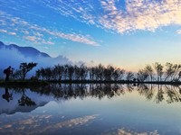 没八烟还有这里！石头换成树“进阶版水中央”秘境曝光