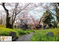 清幽赏樱秘境！一年四季都有花景的京都“涉成园”