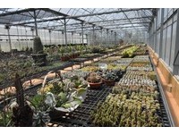 26座温室、2层楼高仙人掌！新竹超大多肉植物乐园