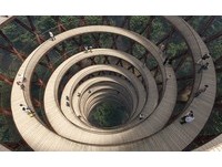丹麦首创“垂直进树林”　天空步道可承载1万旅客