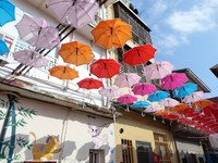 缤纷色彩打造康庄大道！　高雄甲仙重现超美“雨伞街”