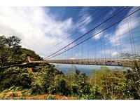 搭阿里山森铁邮轮列车　抢先看“全台最长”太平云梯美景