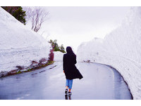 青森八甲田山“雪之回廊”美爆　这视角宛如走进明信片