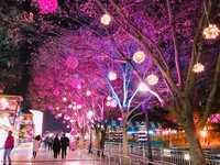 韩国大邱5大浪漫景点攻略　看完绝对让你秒爱上这个城市！