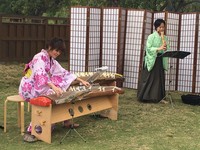 乌山头南洋樱花盛开　和风祭热闹登场