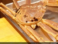 台北没订位吃不到的日式料理　松叶蟹、炸生蚝裹芋丝