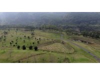 阿里山草原音乐节8/13展开　热气球walk in体验免费