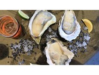 生蚝控又有新选择　品花苑推出美国巨大生蚝吃到饱