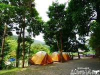 小溪旁住一晚！苗栗亲子露营地溪钓秘境还可赏萤火虫