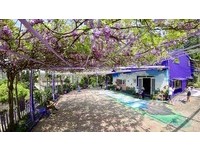 梦幻紫藤花海大爆发！“噢哈娜咖啡屋”变热门约会餐厅