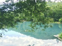 北海道出现第2个青池！“鸟沼公园”秘境大公开