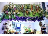 隐身民宅的台北老屋咖啡馆　满满干燥花的梦幻空间！