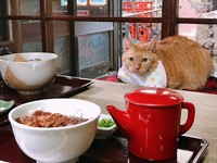 四家私藏的宝藏美食店铺 分享给你们地址及营业时间写在下面啦