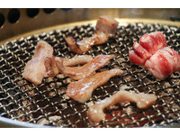 干杯引进BELLOTA伊比利猪　旗下5大品牌、推出16道新品