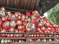 许愿画右眼成真画左眼　发源地达摩寺堆满“功成身退”不倒翁