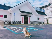 一秒来到日本街拍！藏寿司全台首家“街边店”正式开幕