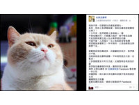 香港书报摊活地标　“奶油哥”将离开尖东让粉丝泪崩！