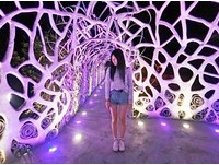 白天黑夜都美丽　嘉义兰潭超好拍“月影潭心”