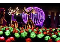 1314朵玫瑰灯、耶诞萤光麋鹿　浪漫点亮清境小瑞士夜晚
