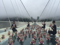 182只复兴小熊出外景　登430M全球最长张家界玻璃桥