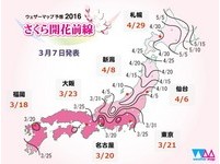 2016日本樱花哪里最先开？福冈3/18绽放、东京提早2天