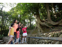 小森恋人轻旅行一探山林秘境　情人节住房再抽奖