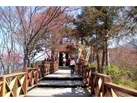 休园7年　高雄“藤枝国家森林游乐区”年底试营运