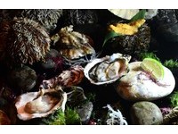 君品酒店再推澎湖马粪海胆与生蚝吃到饱　只到8月底