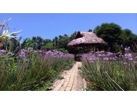 莫内的“日本桥”实景呈现！桃园餐厅一秒跌进油画里