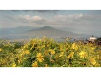 泰国隐藏版绿色秘境　云雾散开后竟可见“富士山”