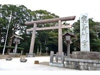 奈良的鹿来自那里？它们的祖先从鹿岛神宫走了几百公里