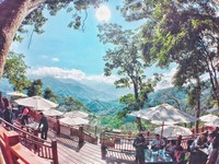 美若仙境！隐身苗栗山林的4间梦幻景观咖啡厅