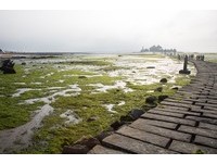 退潮限定！登建功屿要看准时间　海底之路浮现像摩西分海