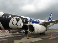 取消合并！复兴航空宣布　威航10月起停业一年