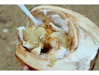 椰子果肉+哇沙比=生花枝口感　超强夜市小吃卖30元台币