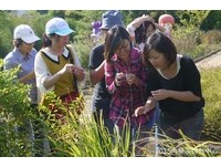跟着植物来趟内双溪纾压之旅　“手心里的芬芳”开课了