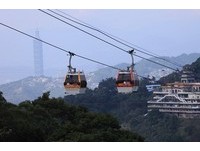 猫缆：我们回来了！15日复驶