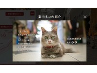 广岛打造“猫咪街景地图”　让猫导游带你吃喝玩乐