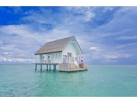 印度洋就是最美背景！马尔代夫海上小屋婚礼浪漫爆表