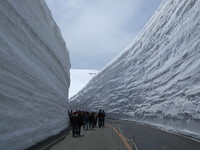 海拔2400米的雪之步行者天堂“立山黑部”4月中开山