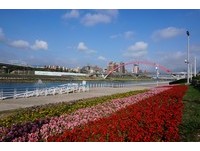 搭捷运、骑自行车去赏花！台北成美河滨花海开了