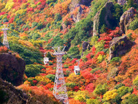 东森旅游秋季旅展　出国买一送一