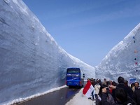 【5/1～5/3旅游运势】12星座本周幸运旅游之地？(下)
