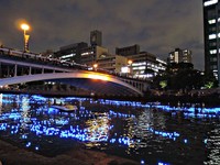 大阪出现七夕“蓝眼泪”？天满桥一带河上洒满蓝色亮点