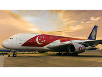 世界最大A380新航国庆彩绘机　贴纸面积＝9座羽球场