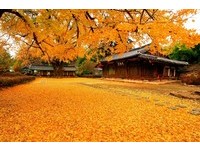 9月韩国玩什么？“Visit Korea”吃喝玩乐优惠一把抓