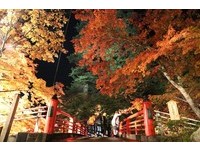 迎接秋天赏枫旺季　日本团费最高涨6500元