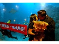一对热恋中异国情侣　在澎湖水族馆成就了一件浪漫的事