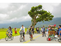 骑单车去野餐Up！台东池上单车野餐日双十登场