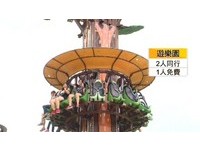 当机8小时！网抢呒1000元优惠爆气　交部宣布名额加倍